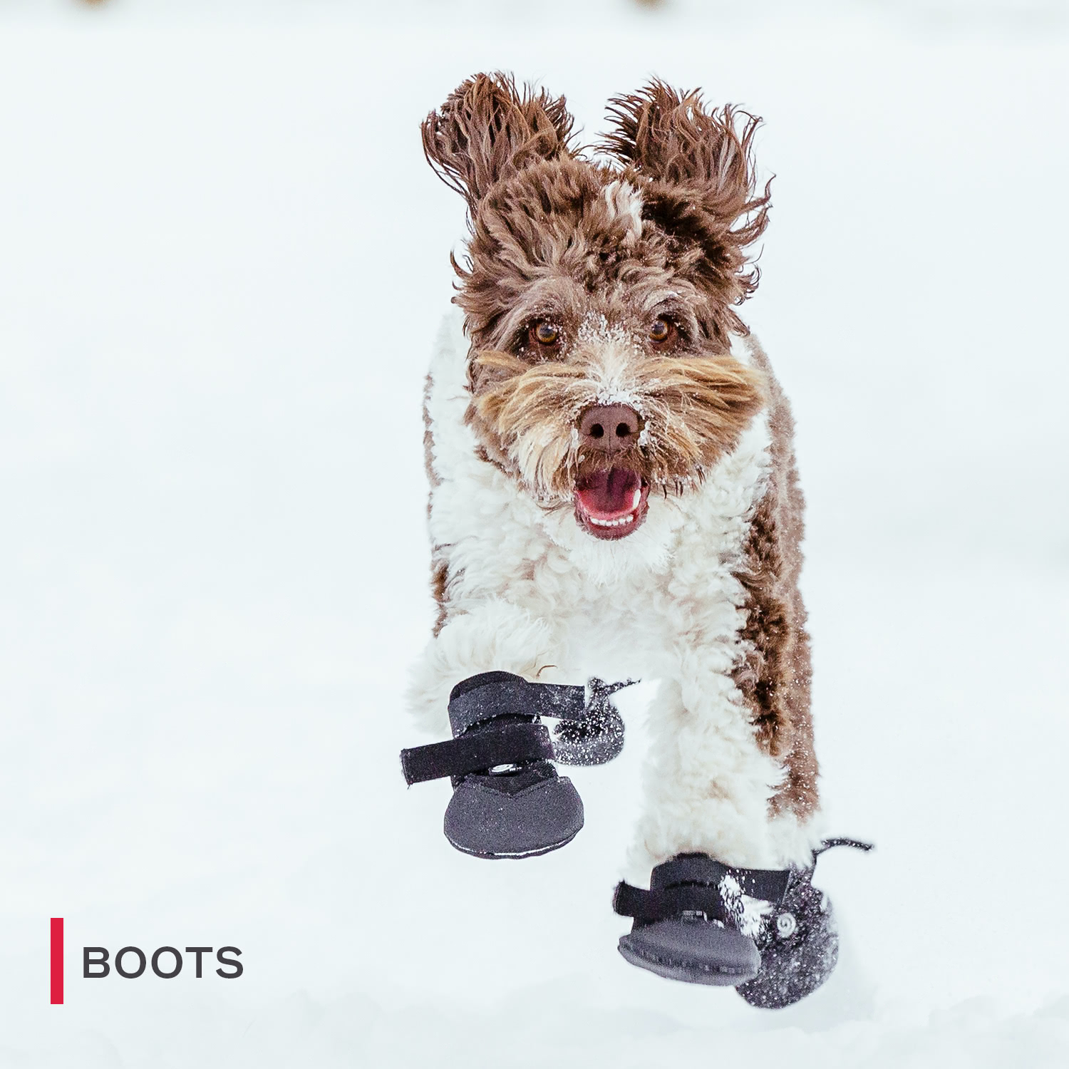 ultra paws boots